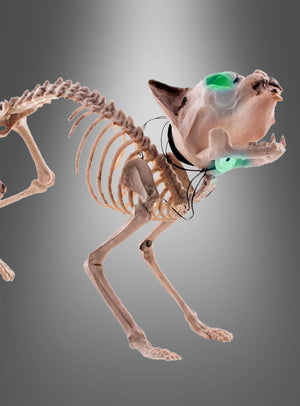 Eine Teilansicht der „Halloween Skelett Katze“ mit einem Kunststoffhalsband und auffälligen grünen Kunstaugen vor einem neutralen Hintergrund mit Farbverlauf – ideal als Blickfang für die Halloween-Dekoration.