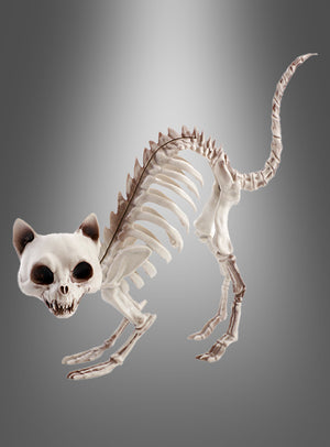 Die „Halloween Skelett Katze“, ein Katzen-Skelett aus Kunststoff mit übertriebenen Gesichtszügen, ist mit gewölbtem Rücken und offenem Maul dargestellt und eignet sich somit perfekt als Halloween-Dekoration vor einem grau verlaufenden Hintergrund.