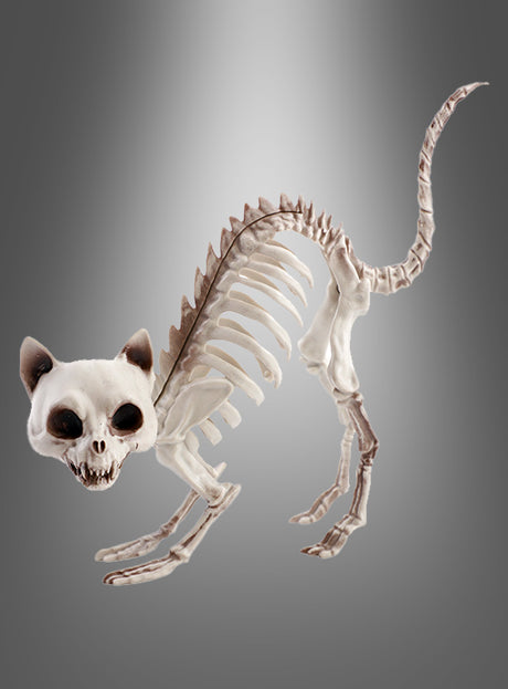 Die „Halloween Skelett Katze“, ein Katzen-Skelett aus Kunststoff mit übertriebenen Gesichtszügen, ist mit gewölbtem Rücken und offenem Maul dargestellt und eignet sich somit perfekt als Halloween-Dekoration vor einem grau verlaufenden Hintergrund.