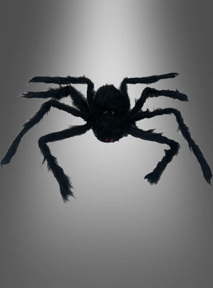 Eine schwarze, pelzige Spinne (30–90 cm) als Halloween-Dekoration mit roten Augen und acht Beinen vor einem grauen Hintergrund mit Farbverlauf – perfekt für gruselige Dekorationen.