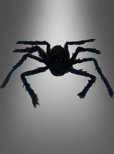 Eine schwarze, pelzige Spinne (30–90 cm) als Halloween-Dekoration mit roten Augen und acht Beinen vor einem grauen Hintergrund mit Farbverlauf – perfekt für gruselige Dekorationen.