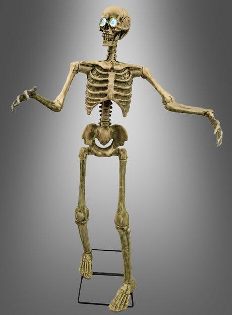 Hier steht das „Bewegliche Skelett – Halloween-Dekoration 150 cm“ aufrecht auf einem Metallständer vor einem grauen Farbverlauf – mit seinen leuchtend blauen Augen die perfekte Wahl für eine realistische Halloween-Dekoration.