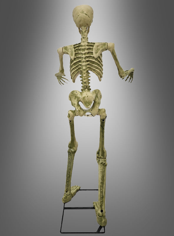 Eine 150 cm große „Bewegliches Skelett“-Halloween-Dekoration ist von hinten zu sehen, wie sie aufrecht auf einem Metallgestell vor einem grauen Hintergrund mit Farbverlauf steht.