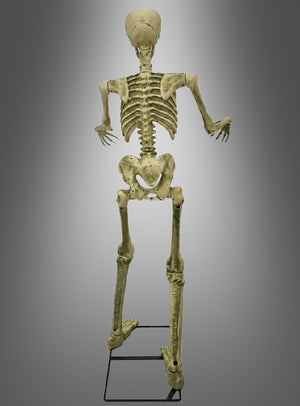 Eine 150 cm große „Bewegliches Skelett“-Halloween-Dekoration ist von hinten zu sehen, wie sie aufrecht auf einem Metallgestell vor einem grauen Hintergrund mit Farbverlauf steht.