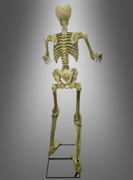 Eine 150 cm große „Bewegliches Skelett“-Halloween-Dekoration ist von hinten zu sehen, wie sie aufrecht auf einem Metallgestell vor einem grauen Hintergrund mit Farbverlauf steht.