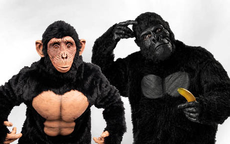 Zwei Personen in realistischen Gorilla- und Schimpansenkostümen, von denen eine eine Banane in der Hand hält, posieren vor einem schlichten weißen Hintergrund.