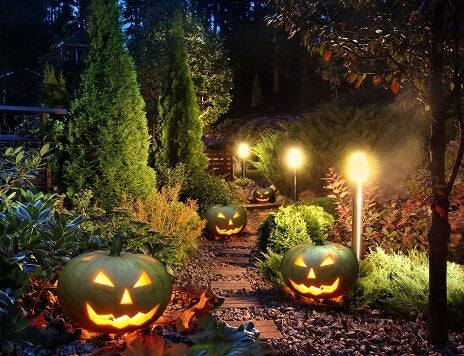Ein Gartenweg ist nachts von leuchtenden Kürbislaternen gesäumt und wird von mehreren hellen Gartenleuchten zwischen Büschen und Bäumen beleuchtet.