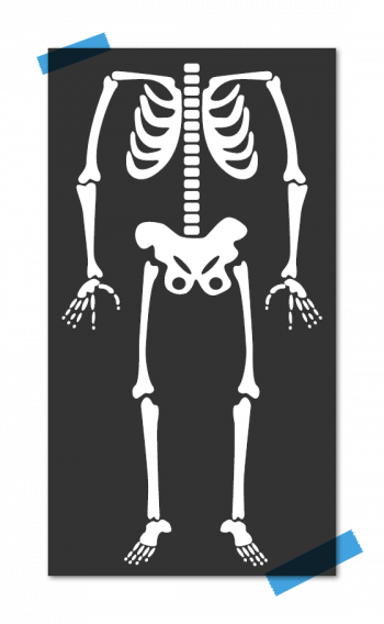 Abbildung eines menschlichen Skeletts auf schwarzem Hintergrund, das die Knochen vom Kopf bis zu den Füßen zeigt und an den Ecken mit blauem Klebeband befestigt ist.