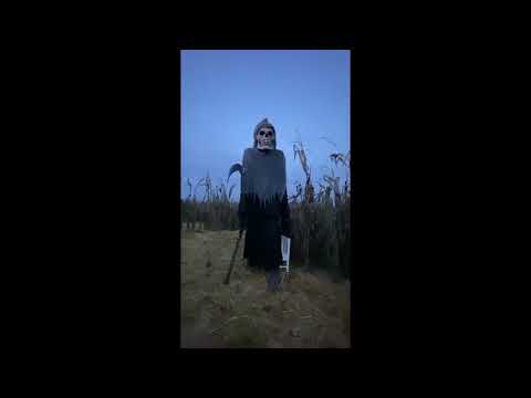 Gigantischer Tod Kostüm oder Deko 240cm Skelett