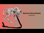 Bellendes Hunde Skelett 32cm Halloween