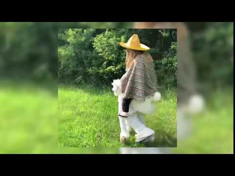 Lama Kostüm 2 Teiler Alpaka Ride on Kostüm