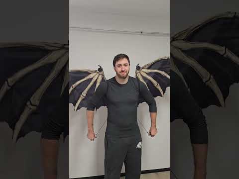 Dämonen Skelett Flügel
