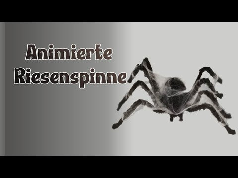Laufende Riesenspinne 80cm mit Spinnweben