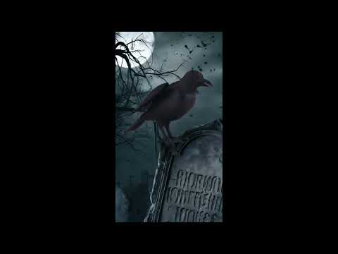 Rabe 24cm Nevermore animiert mit LED