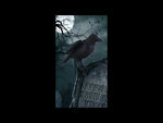 Rabe 24cm Nevermore animiert mit LED
