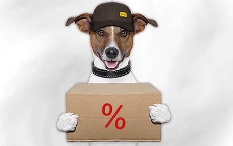 Ein Hund mit einer Mütze hält vor einem schlichten weißen Hintergrund einen Karton mit einem roten Prozentzeichen darauf.