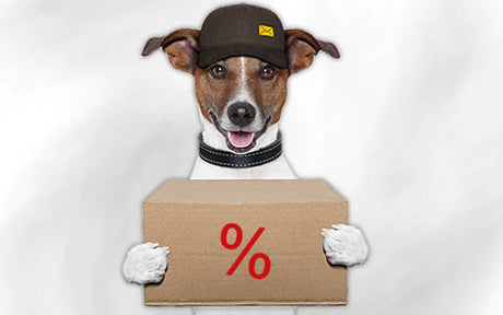 Ein Hund mit einer schwarzen Mütze hält einen Karton mit einem roten Prozentzeichen vor einem schlichten weißen Hintergrund in der Pfote.