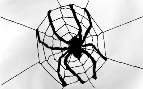 Eine schwarze Spinne befindet sich in der Mitte ihres Netzes vor einem hellen Hintergrund, wobei die Fäden des Netzes strahlenförmig nach außen verlaufen.
