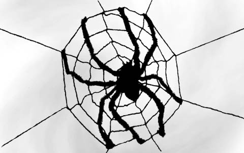 Spiderwebs & Cobwebs