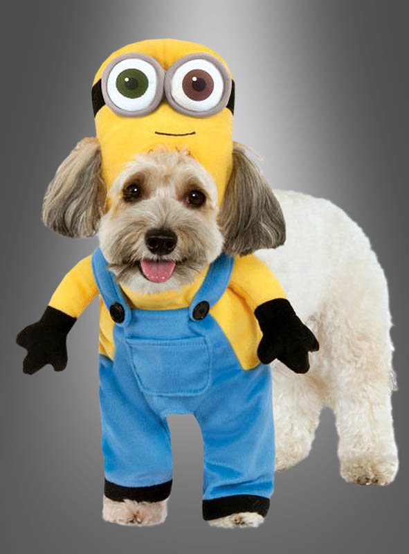 Minion Bob Dog Costume buyable at » Kostümpalast.de