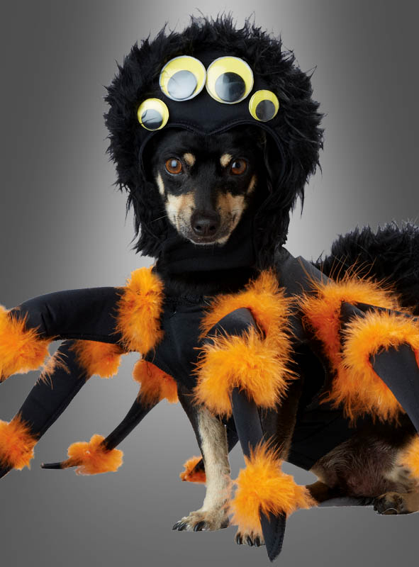 Hundekostüm Spinne bei Kostuempalast.de kaufen