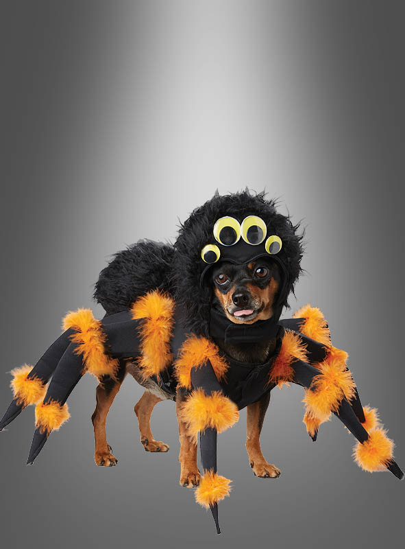 Hundekostüm Spinne bei Kostuempalast.de kaufen